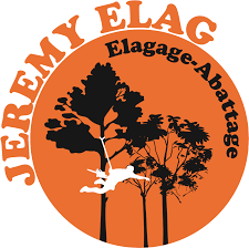 Jeremy Elag logo